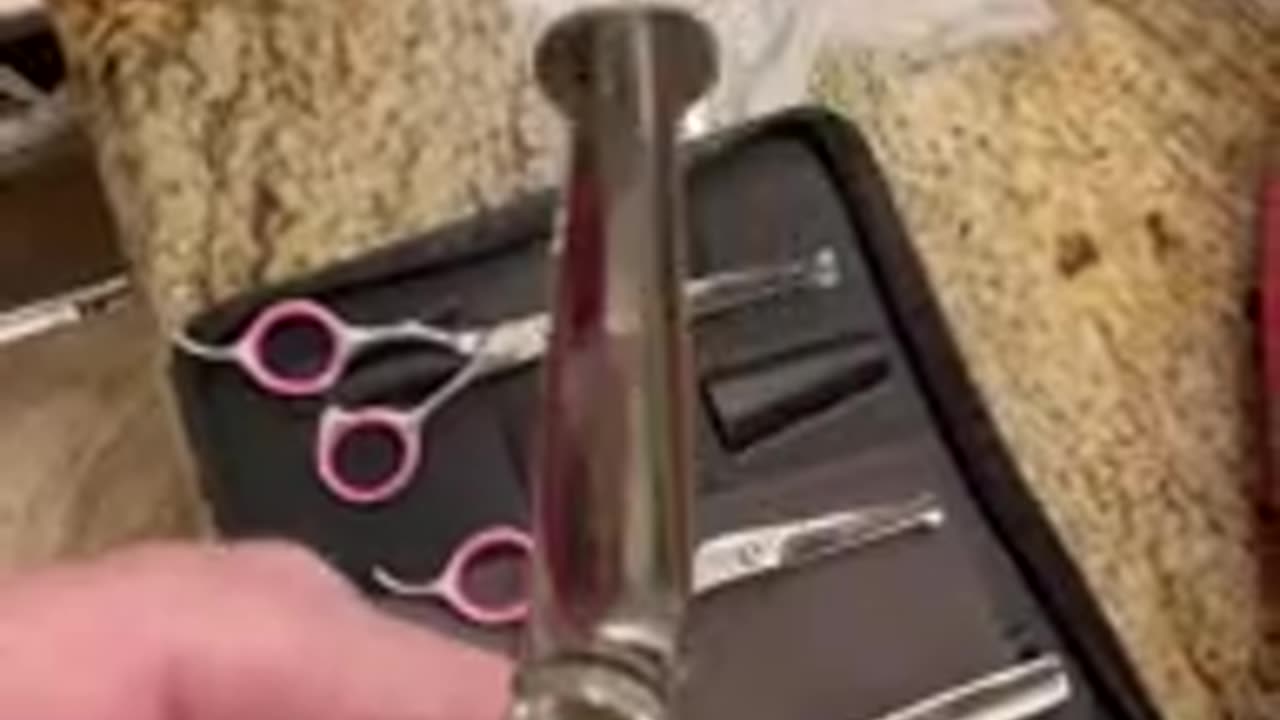 Gimars Titanium Coated Professional 6 in 1 4CR Stainless Dog Grooming Scissors with Safety Rou