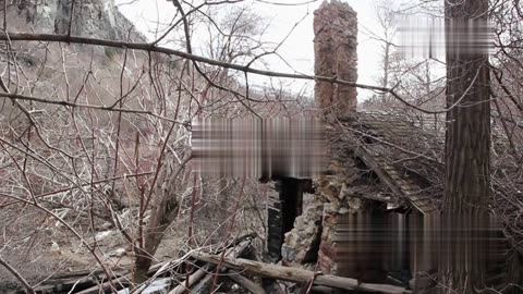 5 Terrifying Discoveries Caught on Camera in the Woods