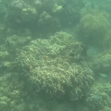 Snorkeling Morning!!