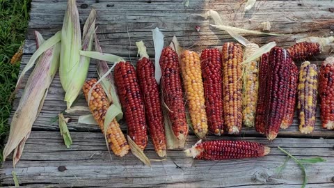 My Variegated Multi Colored Popcorn Project