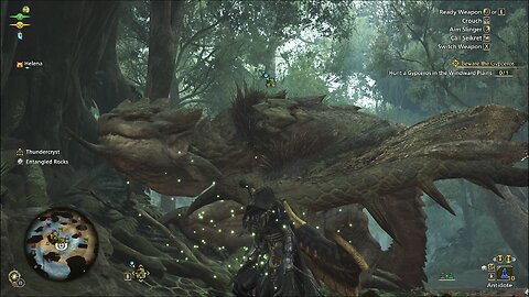 Monster Hunter Wilds: Rathian