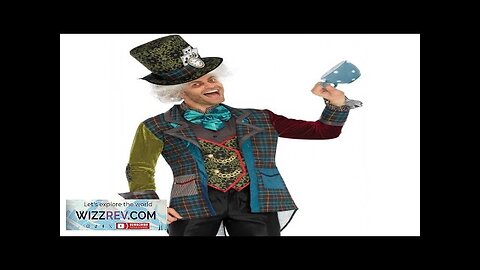 Deluxe Mad Hatter 3 Piece Costume for Men Review