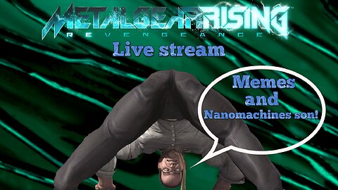 Metal Gear Rising: Revengeance (PC) part 2