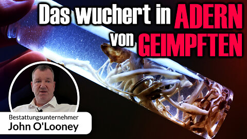 Das wuchert in Adern von Geimpften – Ein Besuch bei Bestattungsunternehmer John O'Looney