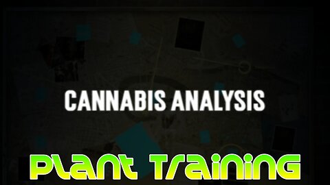 The Cannabis Analysis #7: Plant Training
