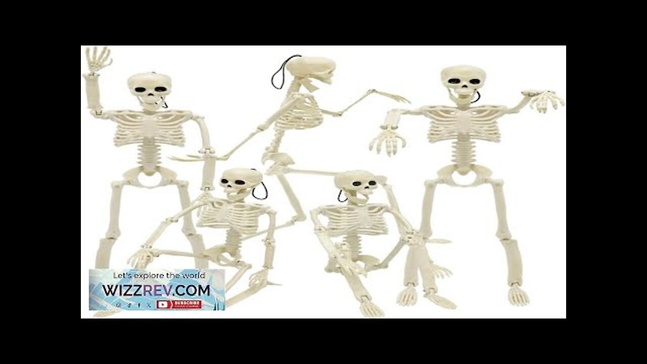 5 Packs Halloween Skeletons 16" Halloween Full Body Skeleton with Posable Joints Review