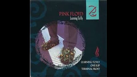 Pink Floyd - Learning To Fly