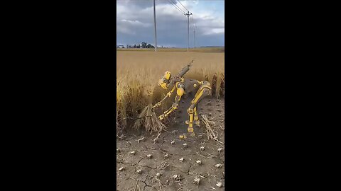 Robotic farming