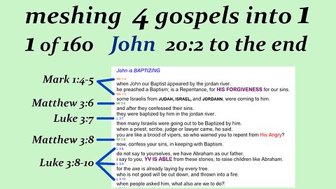 081f John 20:2 thru to the end p30 Jesus bible