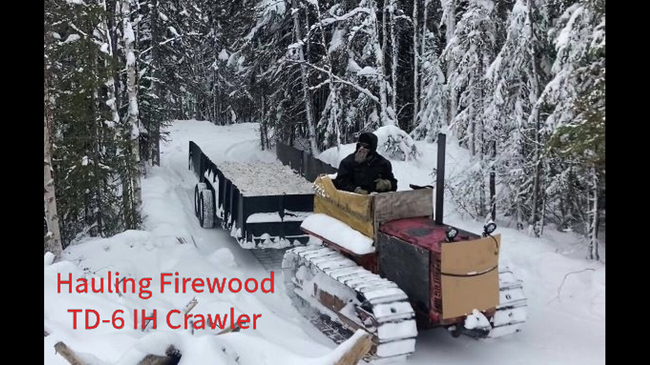 Windy Wednesday But We Had to Work Hauling Firewood with the Cat Named Lavern Jan 15 2025