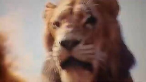 The real live action Lion King