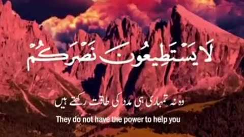 Beshak 💯♥️✨🕊️