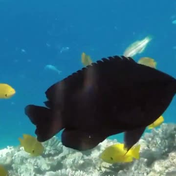 Relaxing Music | Your Daily Dose 💙 of Calm and Serenity