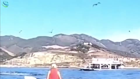 Whale Swallows Two Women in Kayak !!! #whale #kayak #viral