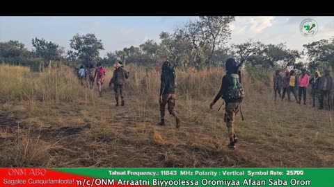 Gabaasa Tarkaanfii ONM-ABO Guraandhala 19-2025 itti dhiyaadhaaa!