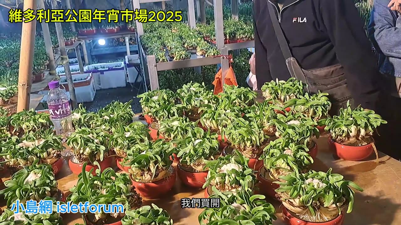 #維多利亞公園年宵市場2025 桃花蘭花熟食攤檔揮春阿拉伯烤肉 mhp4138 ／23012025