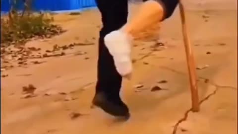 Funny Animals Video 🤣