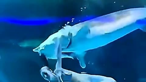 WOMAN ALMOST LOST HER HEAD IN A WATER SHOW IN CHINA😱😱😱😱