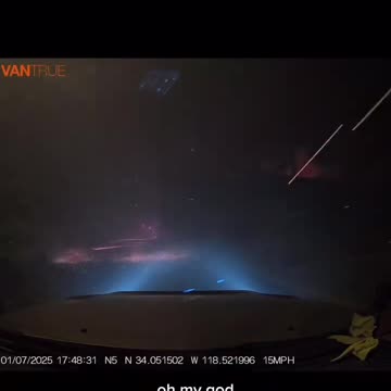 Man Saves Woman and Dogs From LA Fires