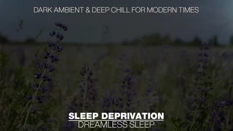 Sleep Deprivation : Join Us In Our Brutal Ambience