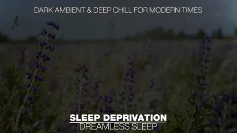 Sleep Deprivation : Join Us In Our Brutal Ambience