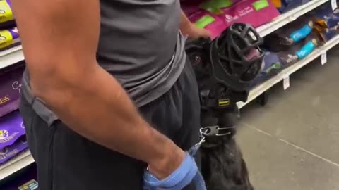 Dog gets very aggressive at a food store