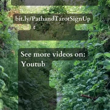 Unveil Deeper Truths | Path and Tarot Reading