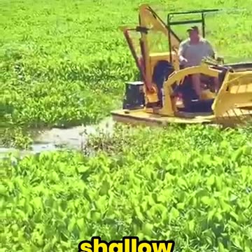 This Excavator Can Revive a Neglected Pond in Minutes!