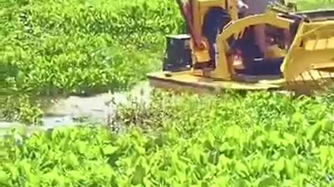 This Excavator Can Revive a Neglected Pond in Minutes!