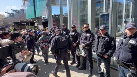 Anti-DOGE protesters arrested at TESLA in NYC after occupying the showroom