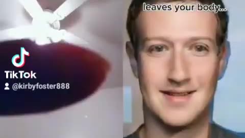 Zuckerberg The Human Clone