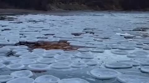 These ice pancakes float on the surface of the water, creating an unusual landscape