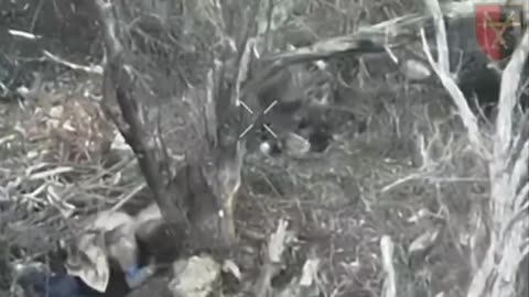 Ukrainian and Russian Soldiers Come Face-to-Face(Wild Footage)