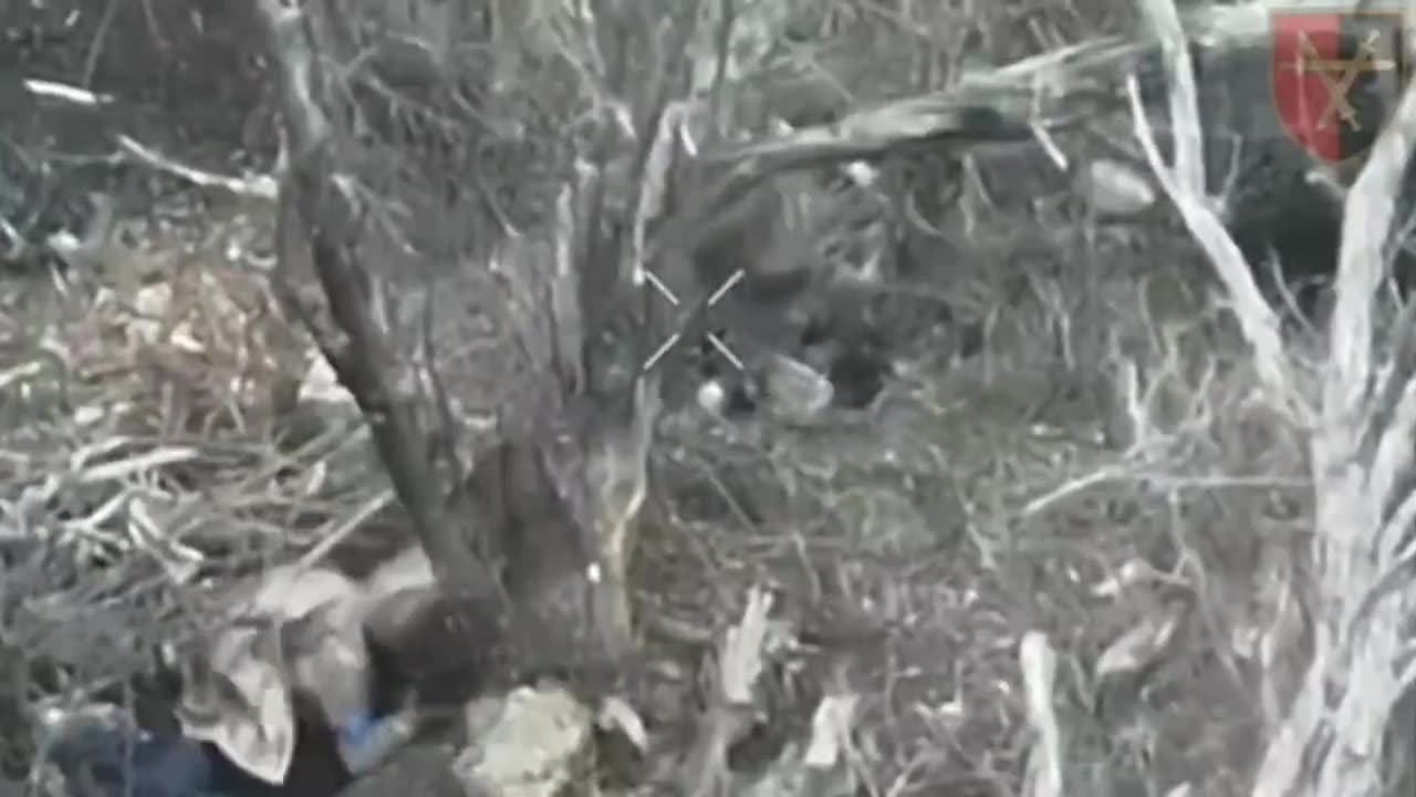 Ukrainian and Russian Soldiers Come Face-to-Face(Wild Footage)