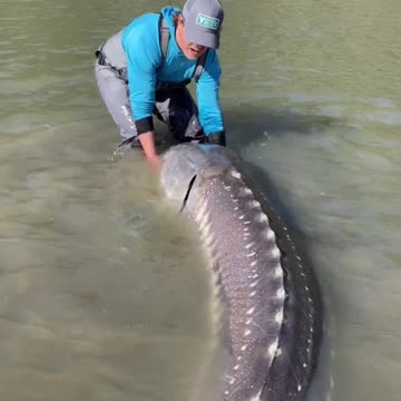 Great Fishing in River