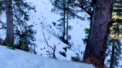 lokhandi snow point chakrata uttrakhand India