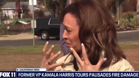 Kamala Harris interview about the fires in California