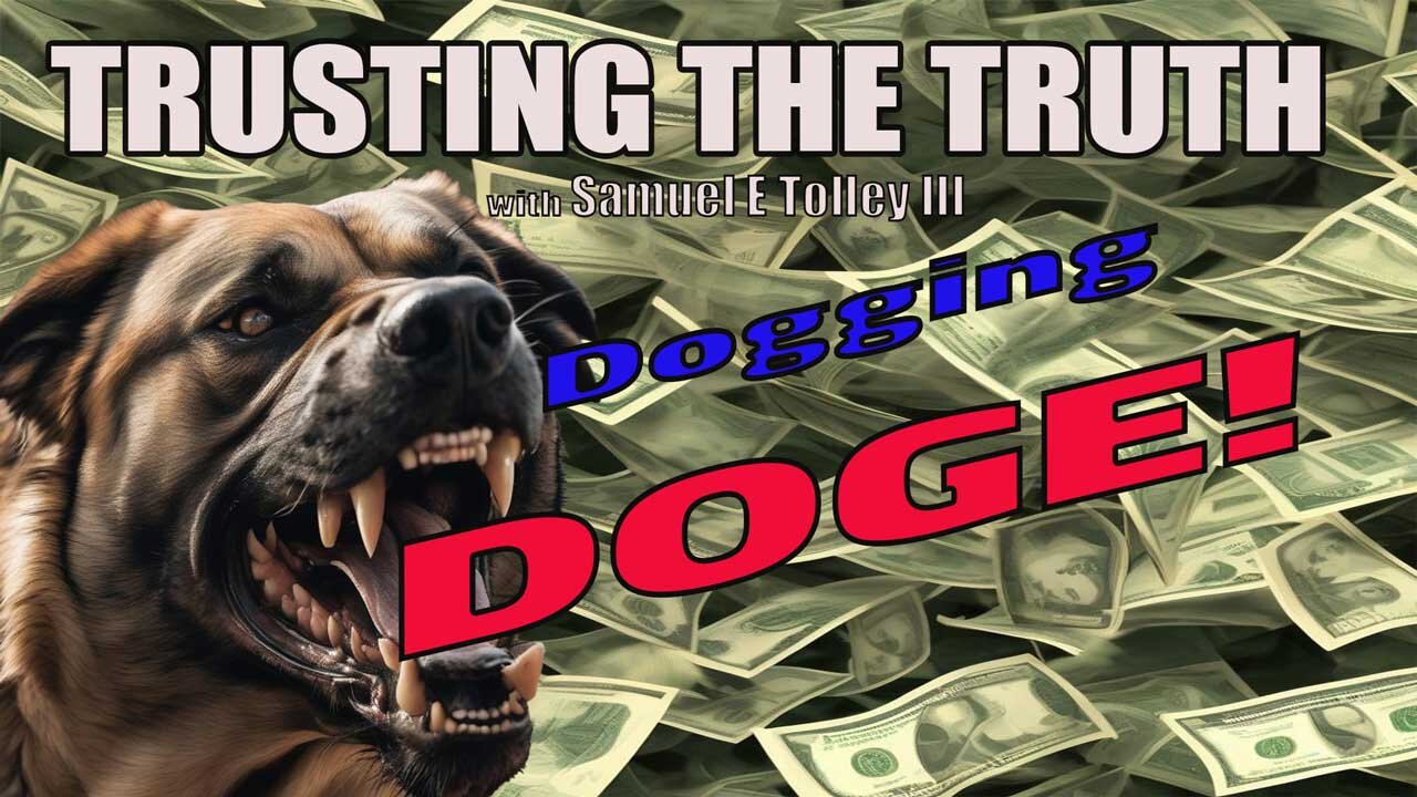 Dogging DOGE!