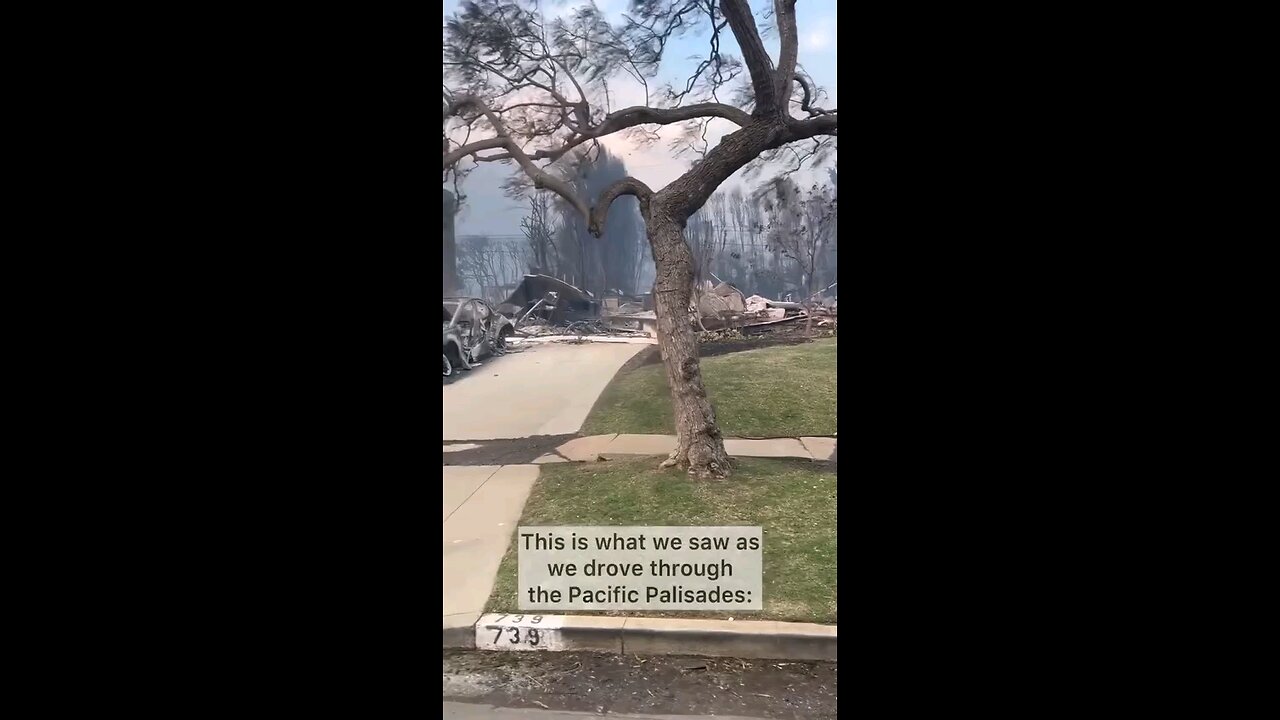 The fact that vegetation was not burnt up with the houses points to DEW usage here. Just like Maui