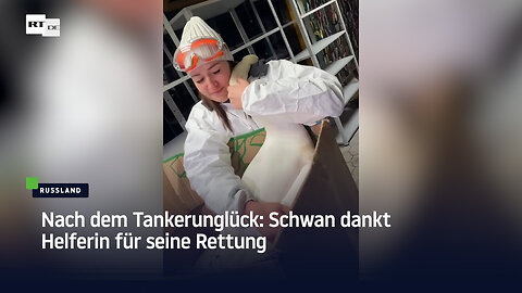 Nach Tankerunglück: Schwan dankt für seine Rettung