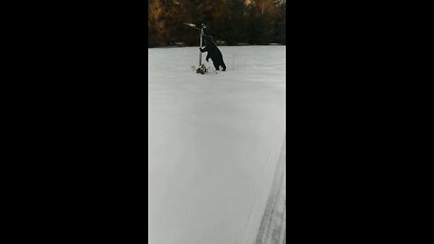 Front yard ice rink