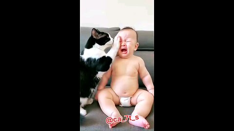 Cat comforting a crying little boy 🧑‍🦰😻😻