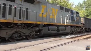 Wheeling & Lake Erie and CSX 1850 L&N Heritage Unit from Creston, Ohio August 24, 2024 Part 3