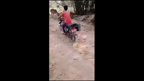 Le gaya🏍️🏍️🏍️🏍️funnyvideos trendingfunny video trending video