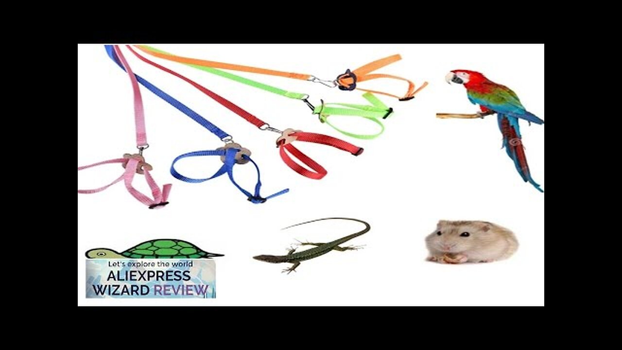 Adjustable Pet Parrot Traction Strap Anti-bite Training Rope Outdoor Rope Hamster Turtle Review