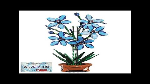 City Creativity Bouquet Flower Cymbidium Faberi Bonsai Potted Plant Home Decoration Building Review