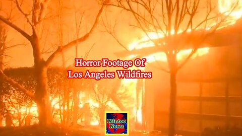 Raw footage captures horror of Los Angeles wildfires