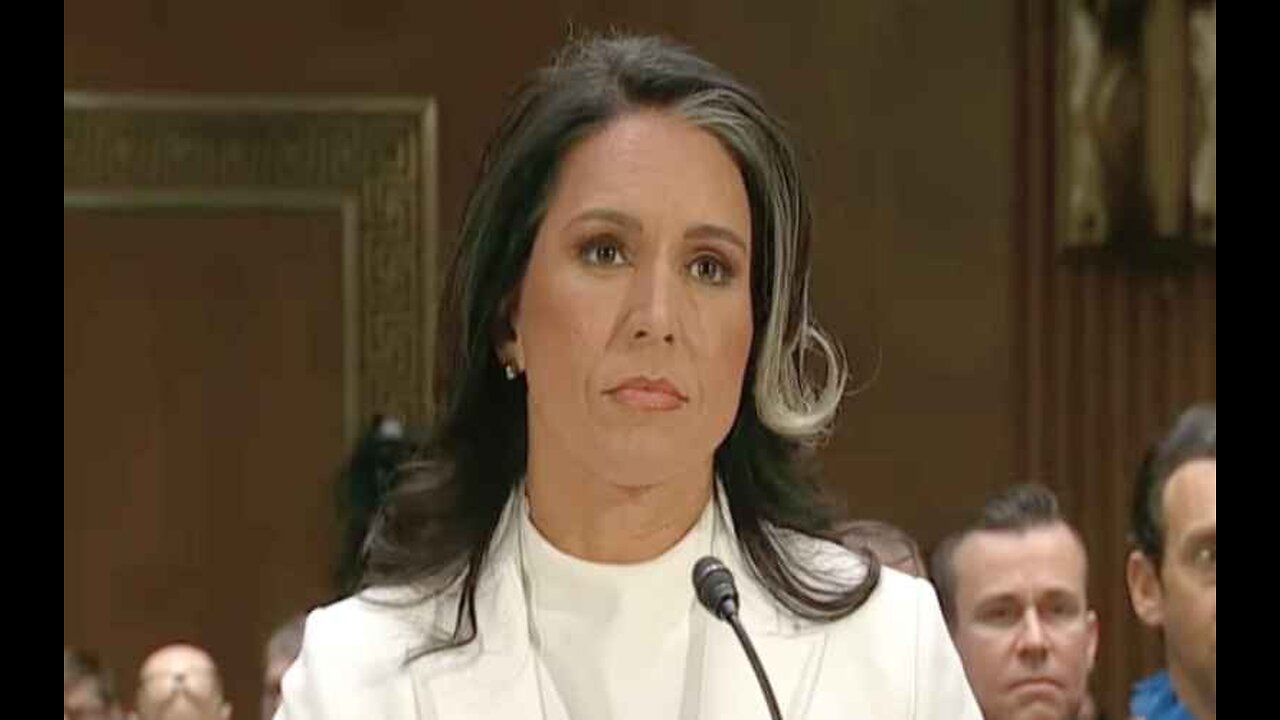 John Kennedy Worried Tulsi Gabbard May Not Be Confirmed