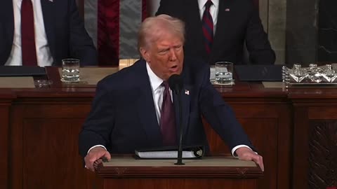 Trump slams Elizabeth Warren