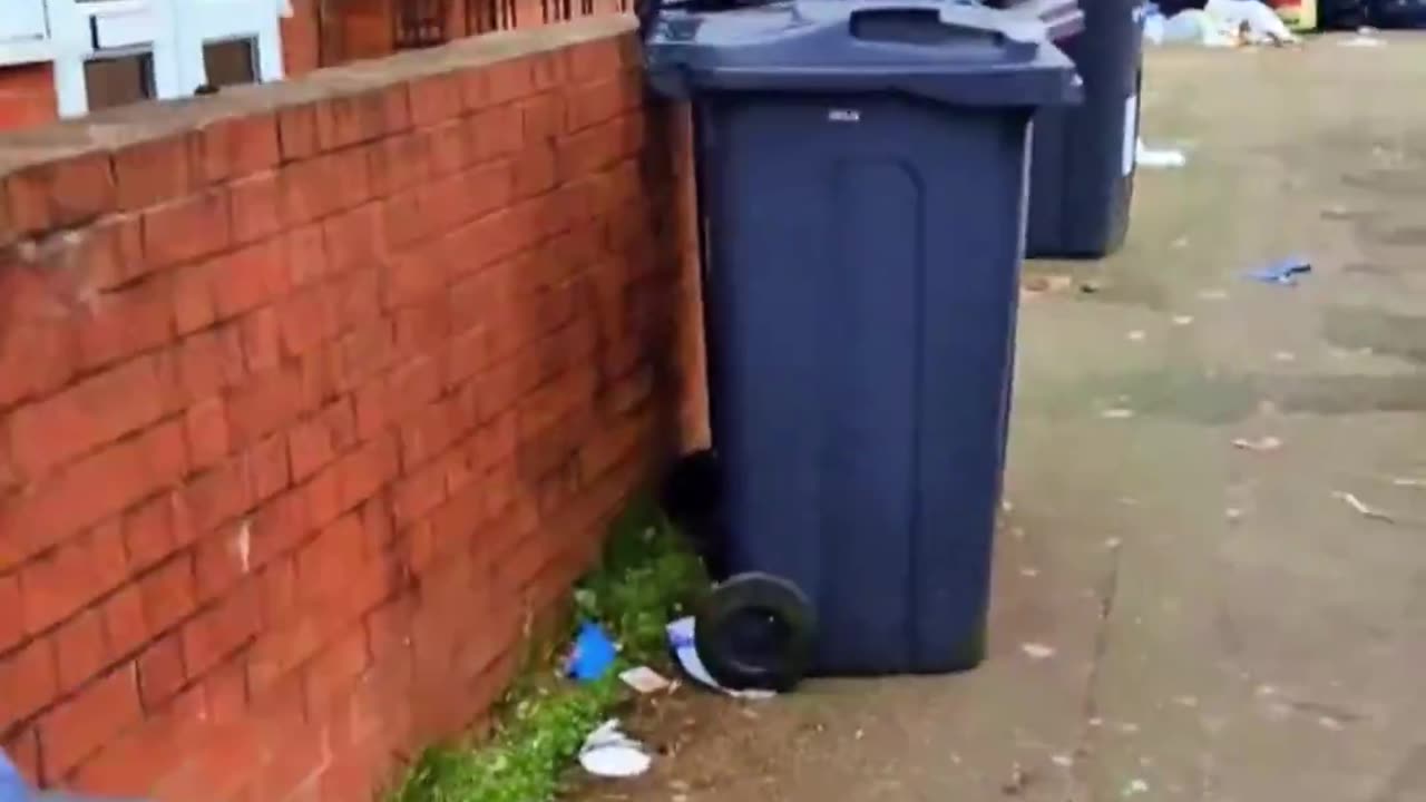 This is Birmingham, England, a city with 35% Muslims. If you import third world